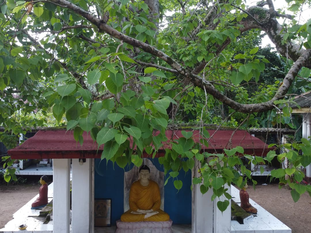 Temple exterior