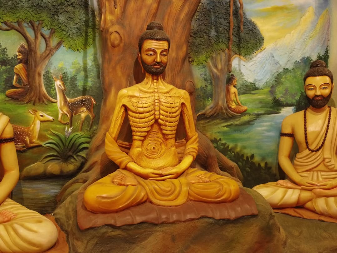 Monk under Bodhi tree
